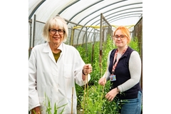 Image Dr. Anne Edwards from the John Innes Centre and a post-graduate.